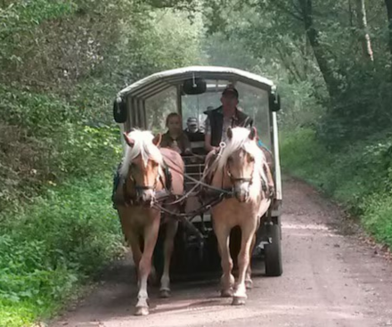 Covered Wagon Ride